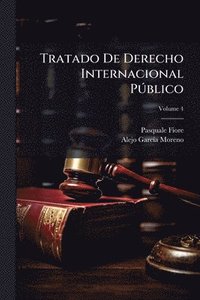 bokomslag Tratado De Derecho Internacional PÃ°blico
