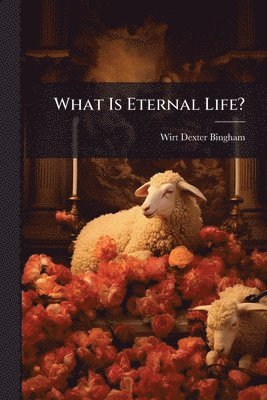 bokomslag What Is Eternal Life?
