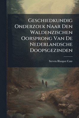 bokomslag Geschiedkundig Onderzoek Naar Den Waldenzischen Oorsprong Van De Nederlandsche Doopsgezinden
