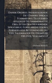 bokomslag Dansk Ordbog Indeholdende Det Danske Sprogs Stammeord, Tilligemed Afledede Og Sammensatte Ord, Efter Den NuvÃ¿rende Sprogbrug Forklarede I Deres Forsk