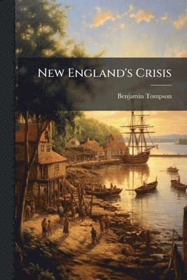 bokomslag New England's Crisis
