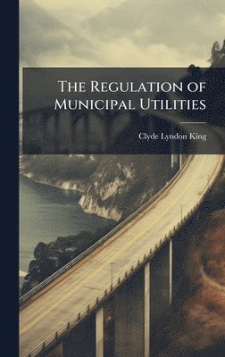 bokomslag The Regulation of Municipal Utilities