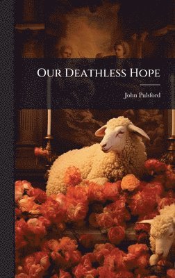 bokomslag Our Deathless Hope