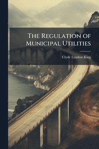 bokomslag The Regulation of Municipal Utilities