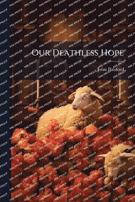 bokomslag Our Deathless Hope