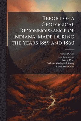 bokomslag Report of a Geological Reconnoissance of Indiana, Made During the Years 1859 and 1860