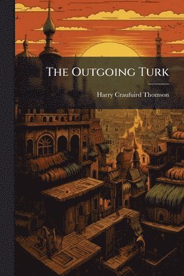 bokomslag Outgoing Turk