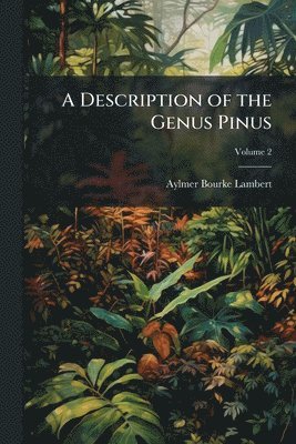 bokomslag A Description of the Genus Pinus