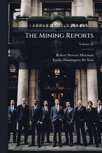 bokomslag The Mining Reports