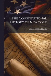 bokomslag The Constitutional History of New York