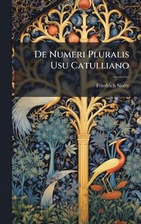 bokomslag De Numeri Pluralis Usu Catulliano