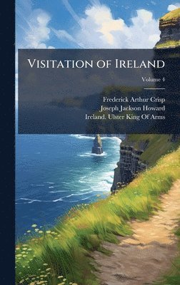 bokomslag Visitation of Ireland