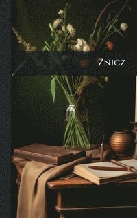 bokomslag Znicz