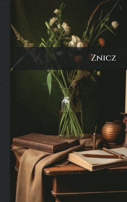 bokomslag Znicz