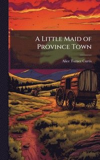 bokomslag Little Maid of Province Town