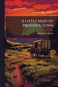 bokomslag Little Maid of Province Town