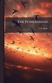 bokomslag Pomeranian