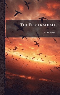 bokomslag Pomeranian