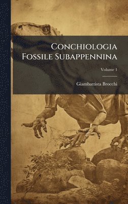 bokomslag Conchiologia Fossile Subappennina
