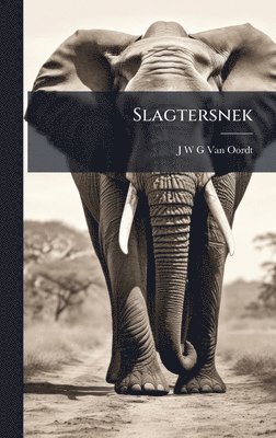bokomslag Slagtersnek