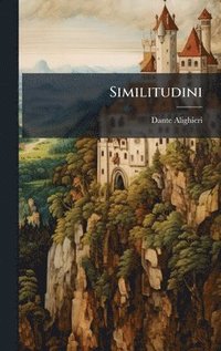 bokomslag Similitudini