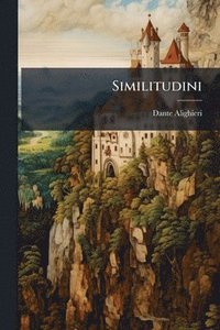 bokomslag Similitudini