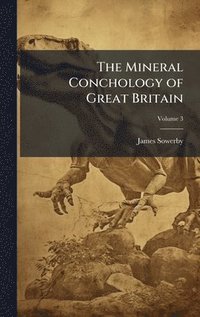 bokomslag Mineral Conchology of Great Britain