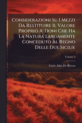 bokomslag Considerazioni Su I Mezzi Da Restituire Il Valore Proprio A' Doni Che Ha La Natura Largamente Conceduto Al Regno Delle Due Sicilie