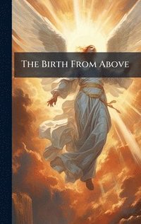 bokomslag Birth From Above