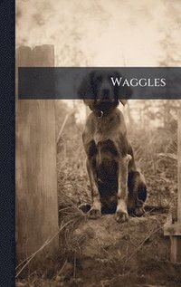 bokomslag Waggles