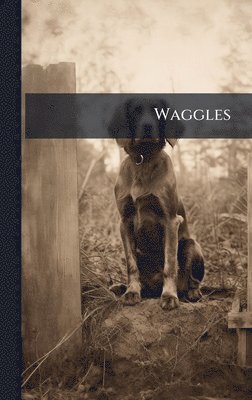 bokomslag Waggles