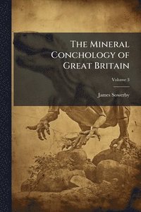 bokomslag Mineral Conchology of Great Britain