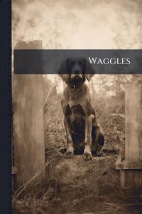 bokomslag Waggles