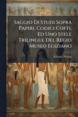 bokomslag Saggio Di Studi Sopra Papiri, Codici Cofti, Ed Uno Stele Trilingue Del Regio Museo Egiziano
