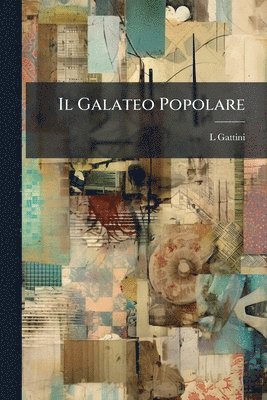 bokomslag Il Galateo Popolare