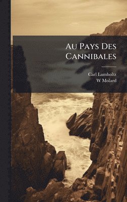 bokomslag Au Pays Des Cannibales