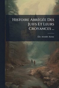 bokomslag Histoire AbrÃ(c)gÃ(c)e Des Juifs Et Leurs Croyances ...