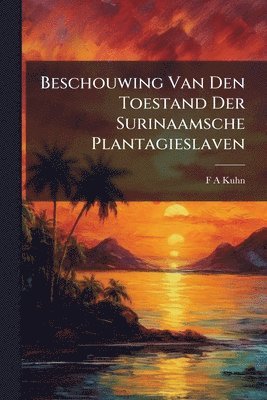 bokomslag Beschouwing Van Den Toestand Der Surinaamsche Plantagieslaven