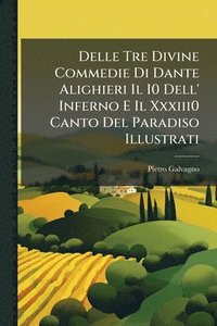 bokomslag Delle Tre Divine Commedie Di Dante Alighieri Il I0 Dell' Inferno E Il Xxxiii0 Canto Del Paradiso Illustrati