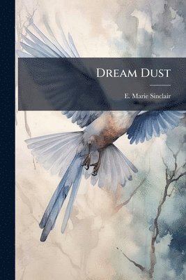 bokomslag Dream Dust