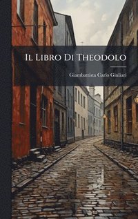 bokomslag Libro Di Theodolo