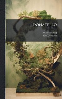 bokomslag Donatello