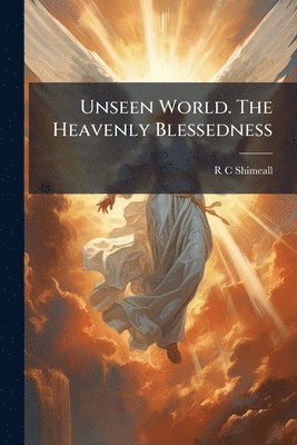 bokomslag Unseen World. The Heavenly Blessedness