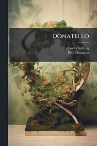 bokomslag Donatello