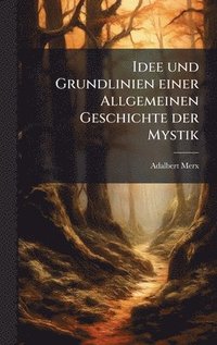 bokomslag Idee und Grundlinien einer Allgemeinen Geschichte der Mystik