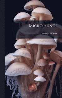bokomslag Micro-Fungi