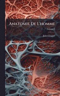 bokomslag Anatomie De L'homme