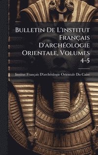 bokomslag Bulletin De L'institut Français D'archÃ(c)ologie Orientale, Volumes 4-5
