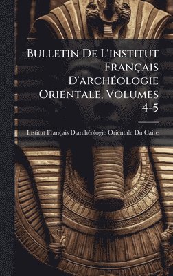 bokomslag Bulletin De L'institut Français D'archÃ(c)ologie Orientale, Volumes 4-5