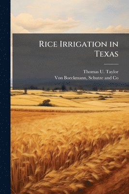 bokomslag Rice Irrigation in Texas
